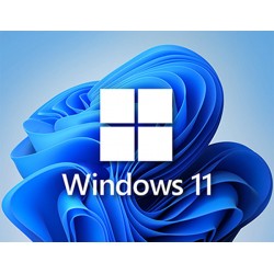 Windows 11 Home Dijital Lisans Key