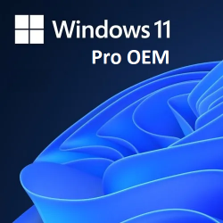 Windows 11 Pro OEM Lisans Key